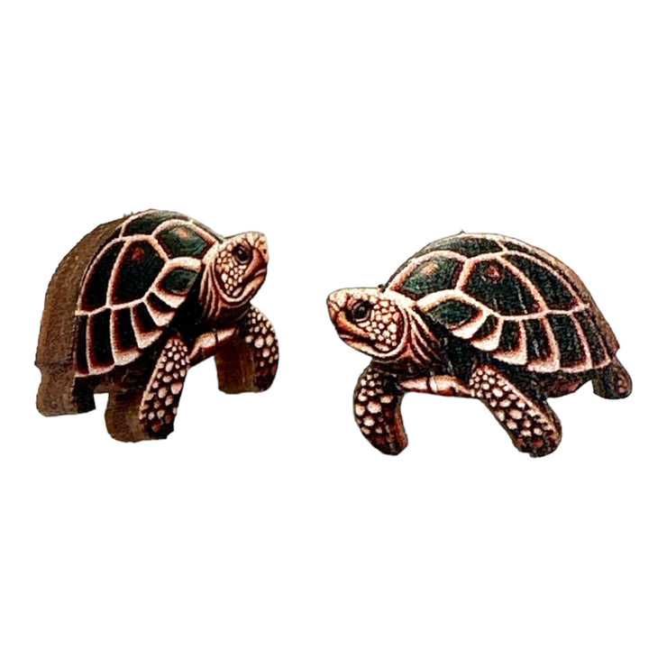 Turtle Studs 