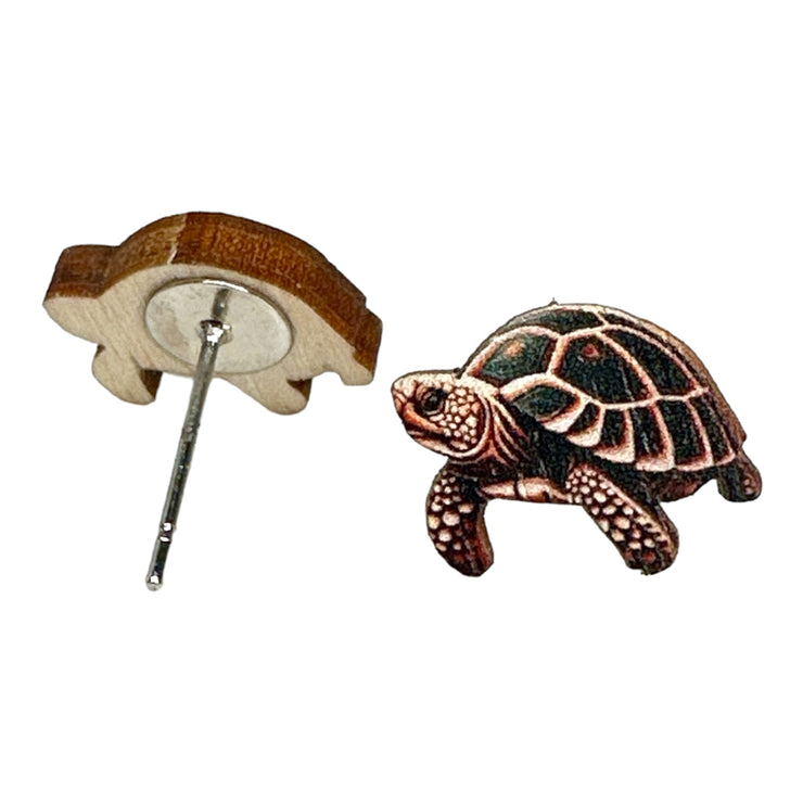 Turtle Studs 