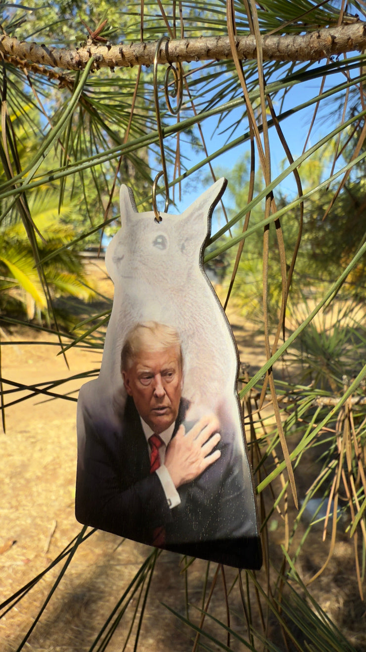 Donald Trump and Peanut Ornament 