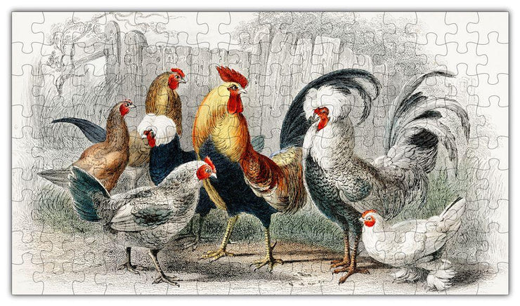 Rooster Puzzle 