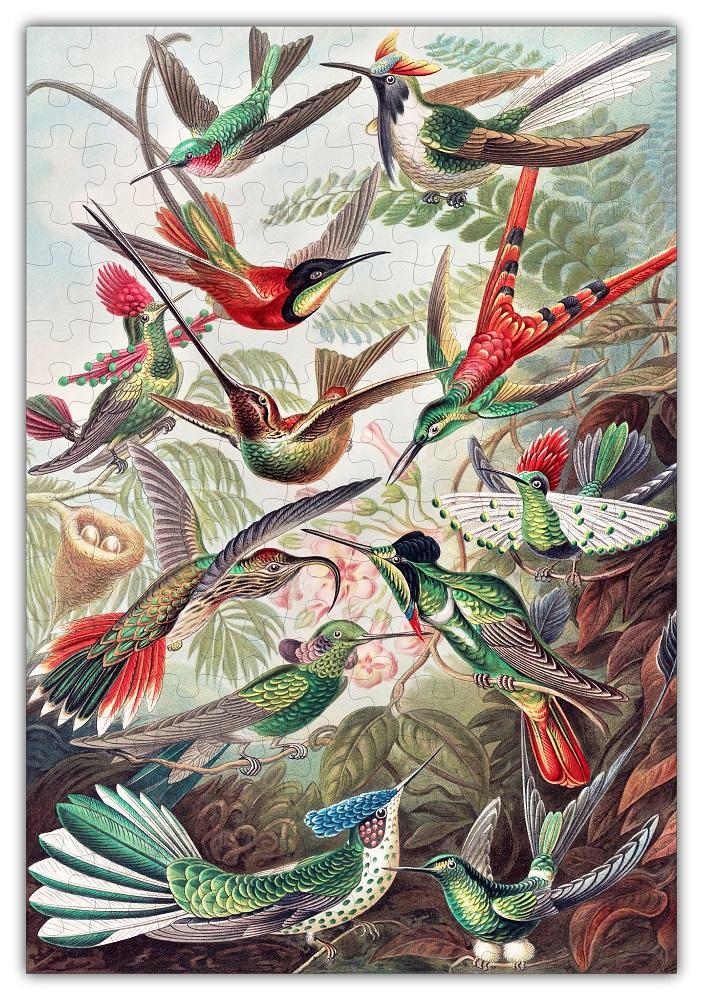 Haeckels Hummingbirds Jigsaw Puzzle 