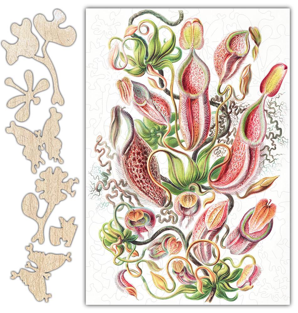 Haeckel's Nepenthaceae Plants Jigsaw Puzzle - 120PCS - #6763