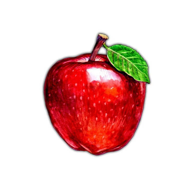 Red Apple Magnet 