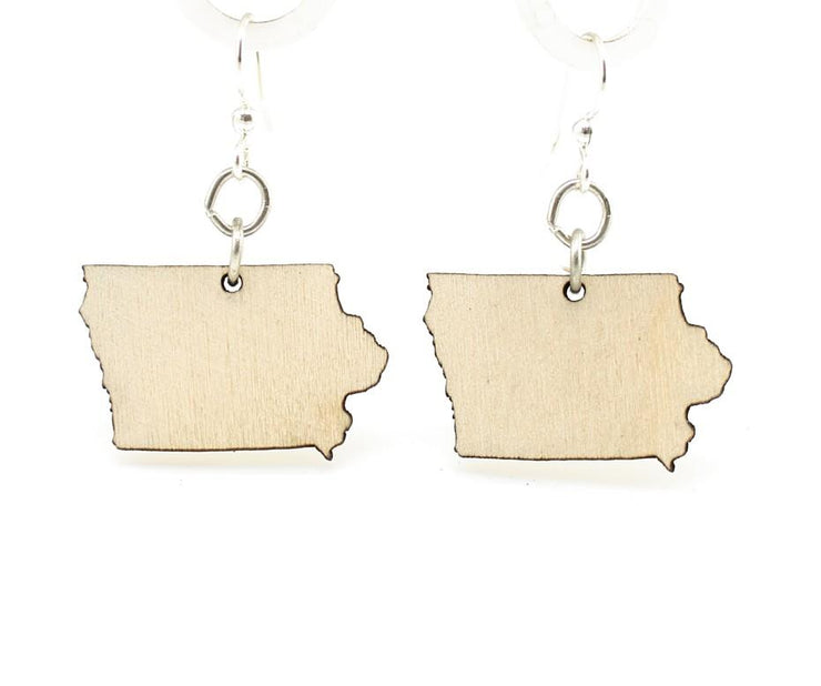 Iowa State Earrings - S015